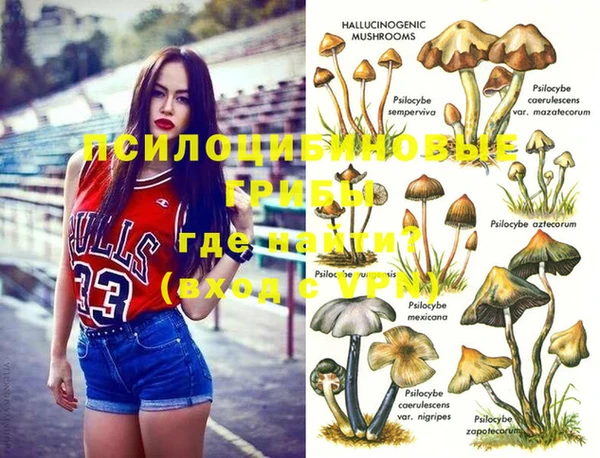бошки Баксан